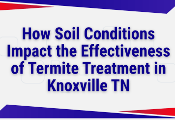 How Soil Conditions Impact the Effectiveness of Termite Treatment in Knoxville TN