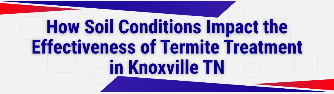 How Soil Conditions Impact the Effectiveness of Termite Treatment in Knoxville TN