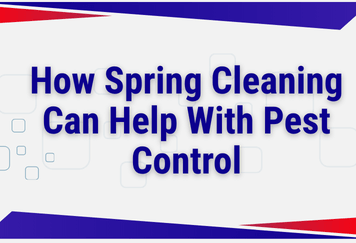 How Spring Cleaning Can Help With Pest Control