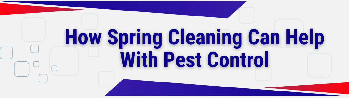 How Spring Cleaning Can Help With Pest Control