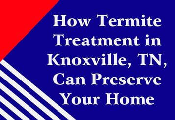 How Termite Treatment in Knoxville, TN, Can Preserve Your Home