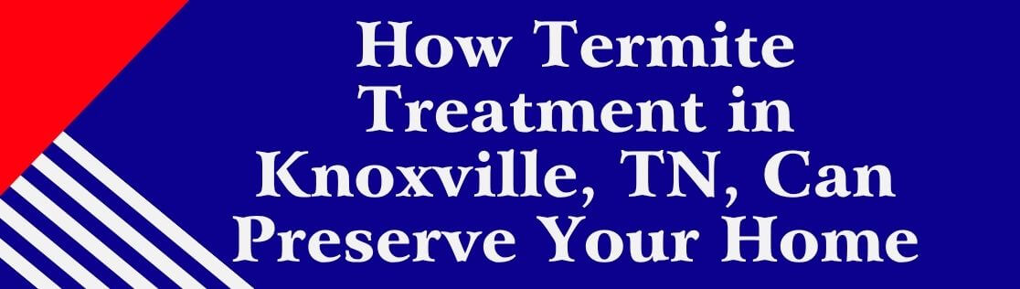 How Termite Treatment in Knoxville, TN, Can Preserve Your Home