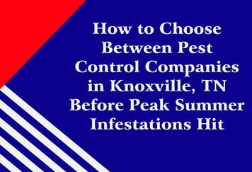 How to Choose Between Pest Control Companies in Knoxville, TN Before Peak Summer Infestations Hit