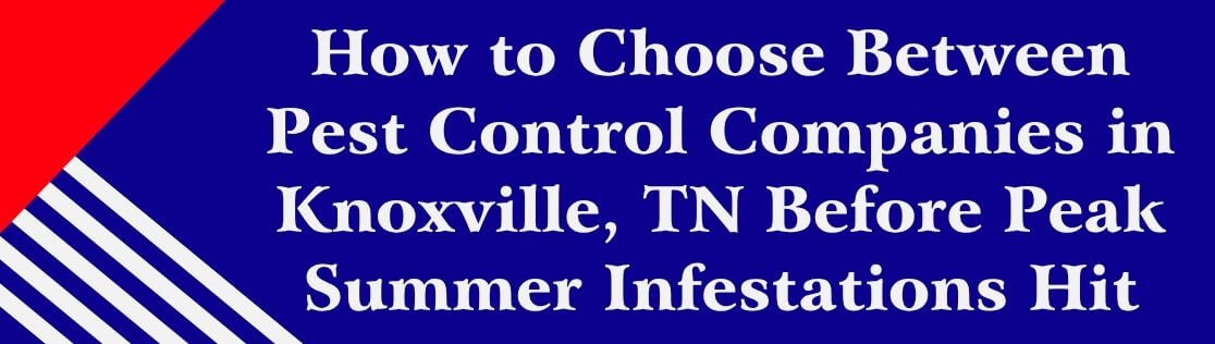 How to Choose Between Pest Control Companies in Knoxville, TN Before Peak Summer Infestations Hit