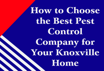 How to Choose the Best Pest Control Company for Your Knoxville Home