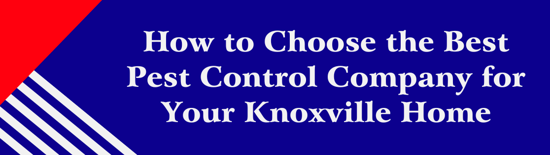 How to Choose the Best Pest Control Company for Your Knoxville Home