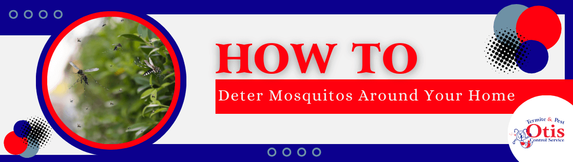 How to Deter Mosquitos Around Your Home