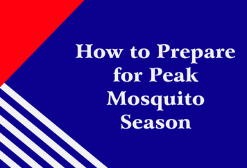How to Prepare for Peak Mosquito Season