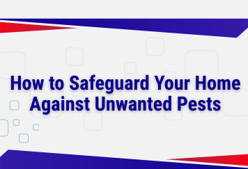 How to Safeguard Your Home Against Unwanted Pests