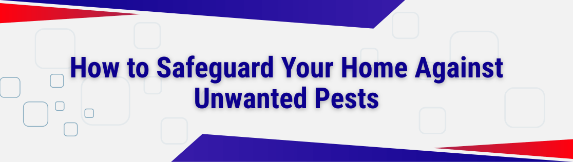 How to Safeguard Your Home Against Unwanted Pests