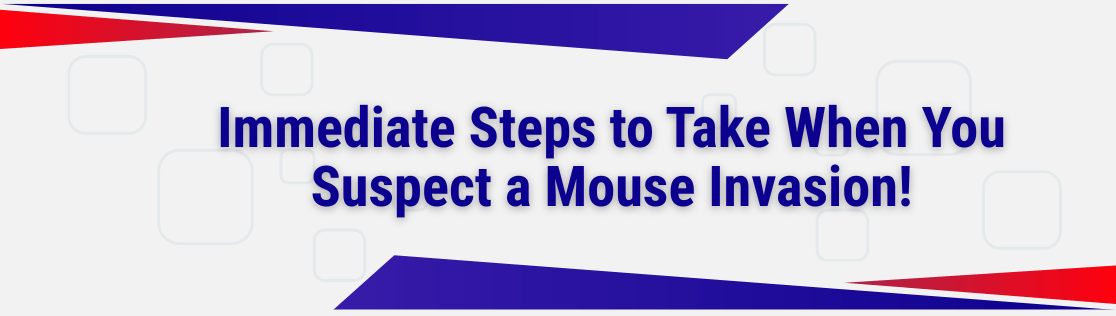 Immediate Steps to Take When You Suspect a Mouse Invasion!