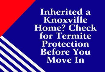 Inherited a Knoxville Home? Check for Termite Protection Before You Move In