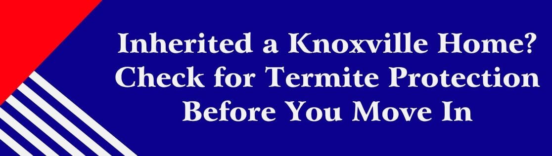 Inherited a Knoxville Home? Check for Termite Protection Before You Move In