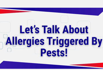 Let’s Talk About Allergies Triggered By Pests!