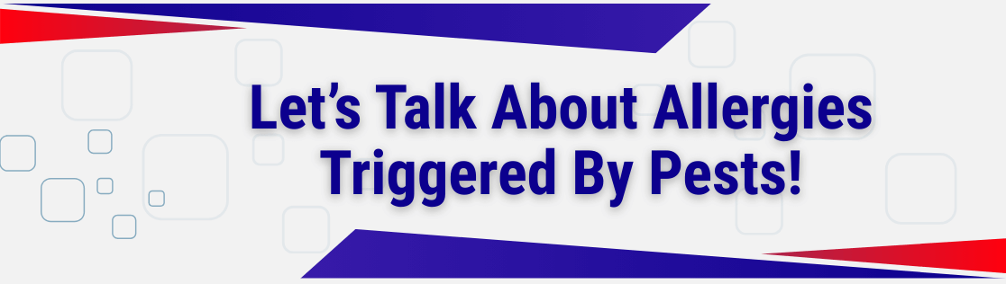 Let’s Talk About Allergies Triggered By Pests!