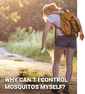 Mosquito Control Knoxville