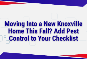 Moving Into a New Knoxville Home This Fall? Add Pest Control to Your Checklist