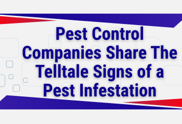 Pest Control Companies Share The Telltale Signs of a Pest Infestation