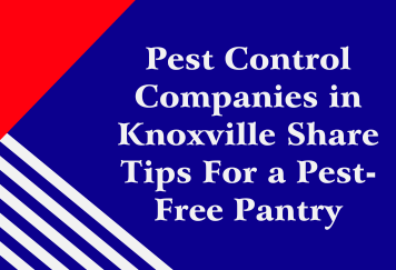 Pest Control Companies in Knoxville, TN, Share Tips For a Pest-Free Pantry