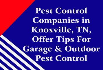 Pest Control Companies in Knoxville, TN, Offer Tips For Garage & Outdoor Pest Control