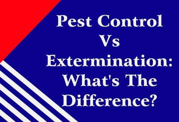 Pest Control Vs Extermination: What's The Difference?
