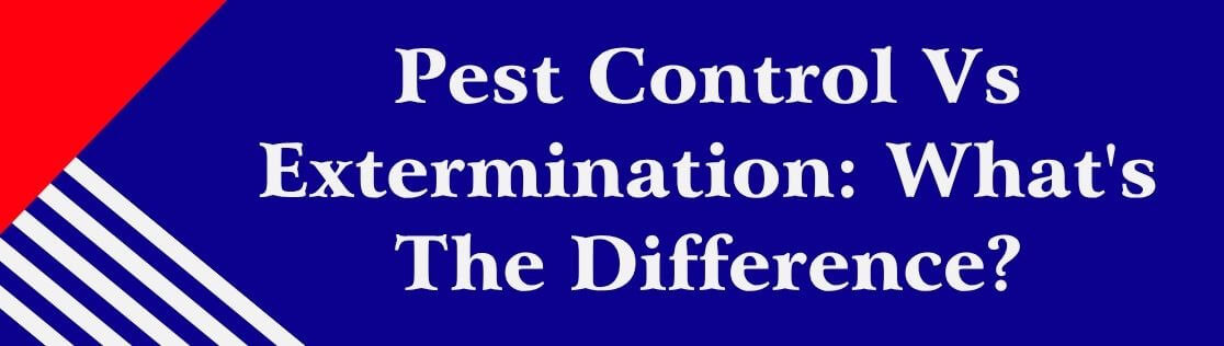 Pest Control Vs Extermination: What's The Difference?