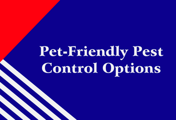 Pet-Friendly Pest Control Options