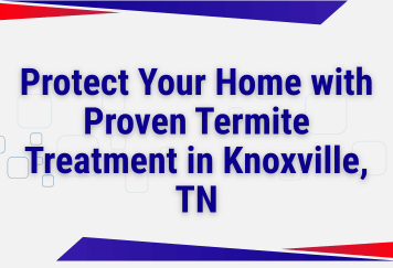 Protect Your Home with Proven Termite Treatment in Knoxville, TN