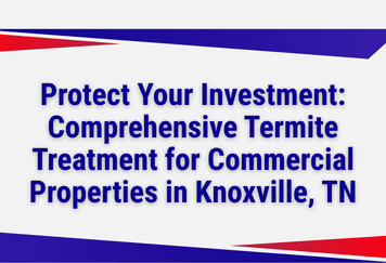 Protect Your Investment: Comprehensive Termite Treatment for Commercial Properties in Knoxville, TN