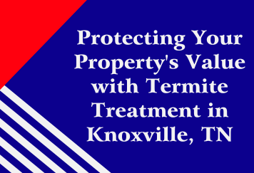 Protecting Your Property’s Value with Termite Treatment in Knoxville, TN