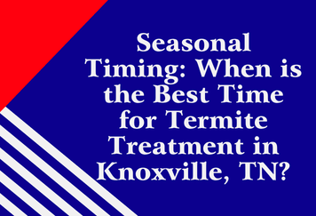 Seasonal Timing: When is the Best Time for termite treatment in Knoxville, TN?
