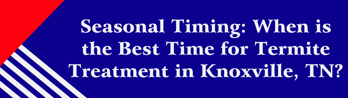 Seasonal Timing: When is the Best Time for termite treatment in Knoxville, TN?