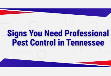Signs You Need Professional Pest Control in Tennessee
