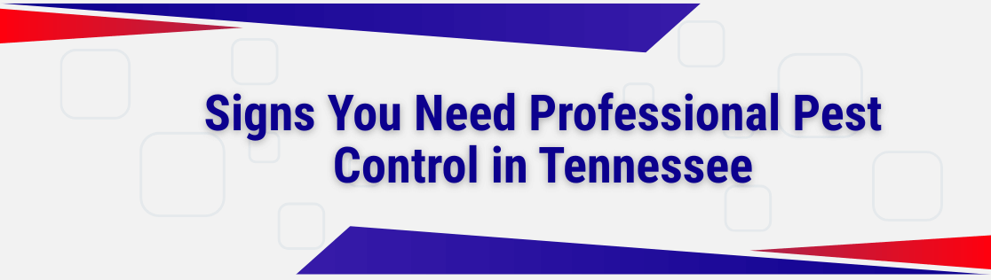 Signs You Need Professional Pest Control in Tennessee