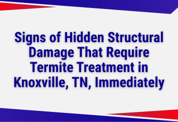 Signs of Hidden Structural Damage That Require Termite Treatment in Knoxville, TN, Immediately