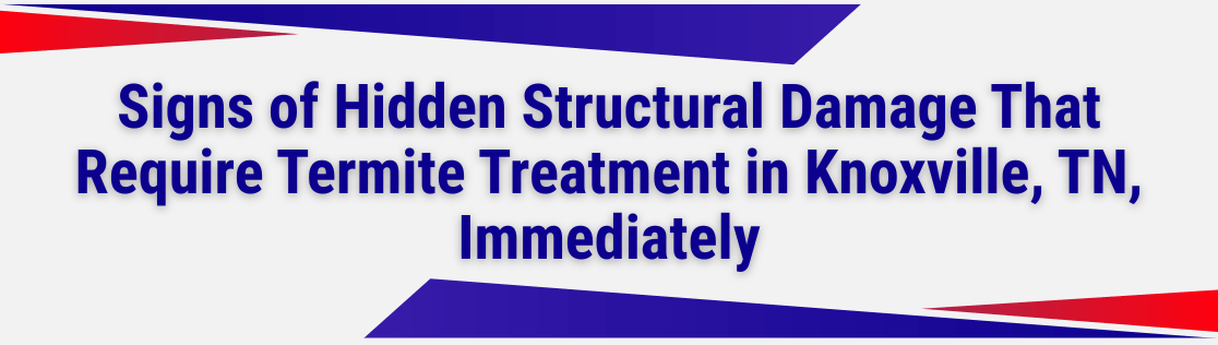 Signs of Hidden Structural Damage That Require Termite Treatment in Knoxville, TN, Immediately