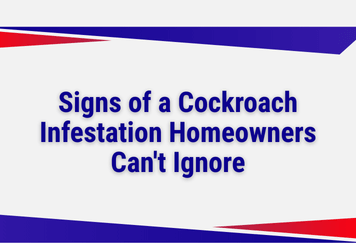Signs of a Cockroach Infestation Homeowners Can't Ignore