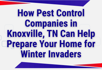 How Pest Control Companies in Knoxville, TN Can Help Prepare Your Home for Winter Invaders