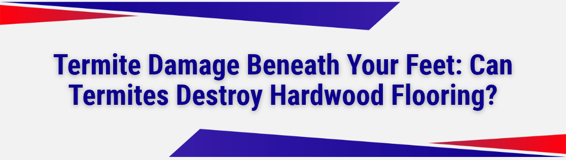 Termite Damage Beneath Your Feet: Can Termites Destroy Hardwood Flooring?