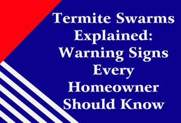 Termite Swarms Explained: Warning Signs Every Homeowner Should Know