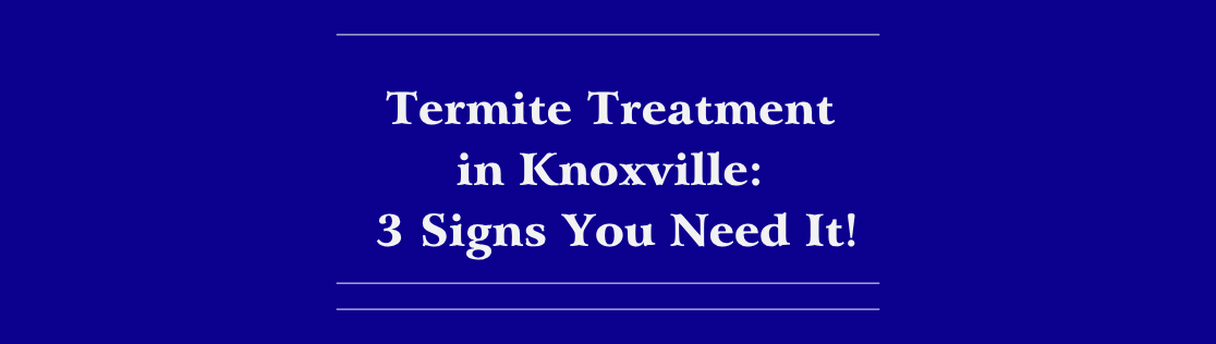 Termite Treatment in Knoxville: 3 Signs You Need It!