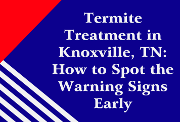 Termite Treatment in Knoxville, TN: How to Spot the Warning Signs Early