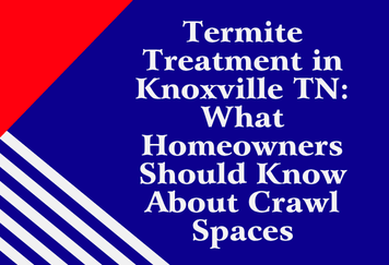 Termite Treatment in Knoxville TN: What Homeowners Should Know About Crawl Spaces