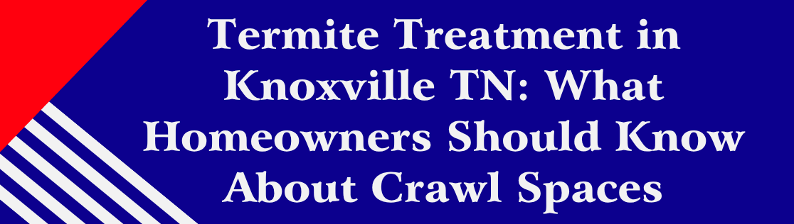 Termite Treatment in Knoxville TN: What Homeowners Should Know About Crawl Spaces