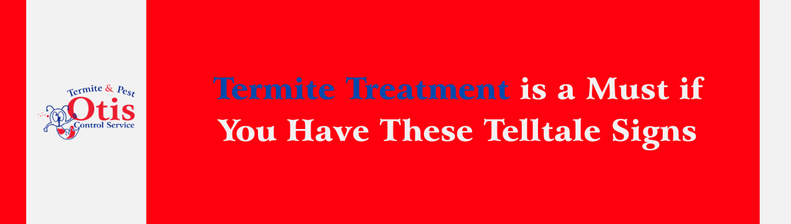 Termite Treatment in Knoxville, TN is a Must if You Have These Telltale Signs