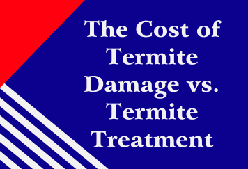 The Cost of Termite Damage vs. Termite Treatment