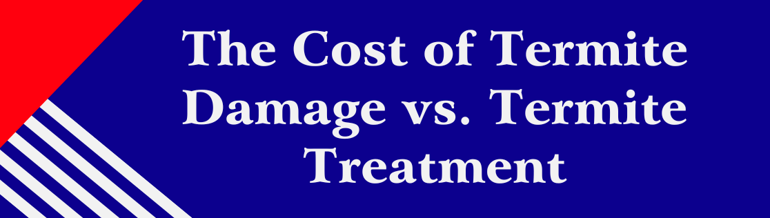 The Cost of Termite Damage vs. Termite Treatment