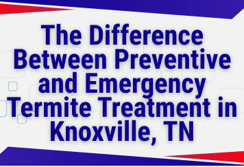 The Difference Between Preventive and Emergency Termite Treatment in Knoxville, TN