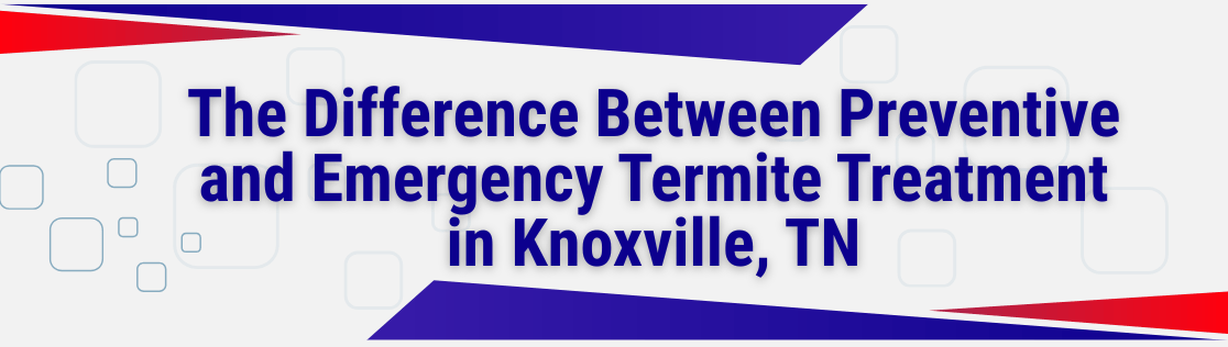 The Difference Between Preventive and Emergency Termite Treatment in Knoxville, TN