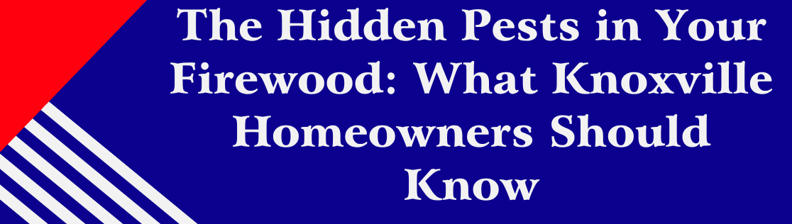 The Hidden Pests in Your Firewood: What Knoxville Homeowners Should Know